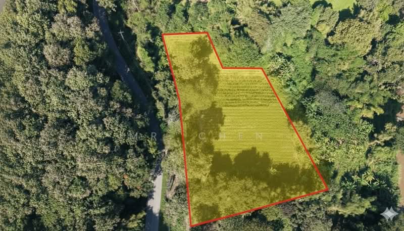 ไม่พบโครงการ, Chiang Mai, -, Mae Ram, Mae Rim, Chiang Mai, , 12,760 sqm, Land For Sale, by Panuwat Jinanan, 500178180 - DDproperty.com