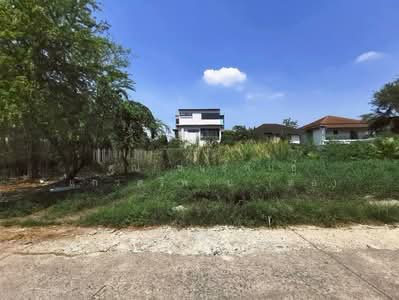 ขาย - ที่ดินเปล่า 111 ตร.ว. ที่ดิน ซอยรามคำแหง118 แยก46-3 ที่ดินใกล้โรงเรียนนานาชาติแอสคอต(Ascot), กรุงเทพ