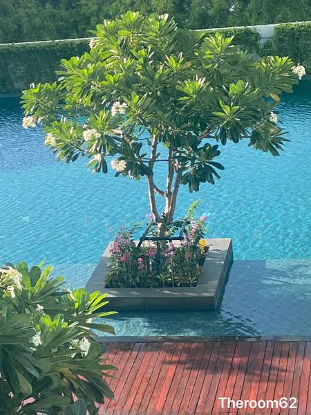 The Room Sukhumvit 62 : เดอะรูม สุขุมวิท 62, กรุงเทพ, 2288 ถ.สุขุมวิท, บางจาก, พระโขนง, กรุงเทพ, 45 ตร.ม., คอนโด ให้เช่า, โดย Virin W., 500178337 - DDproperty.com