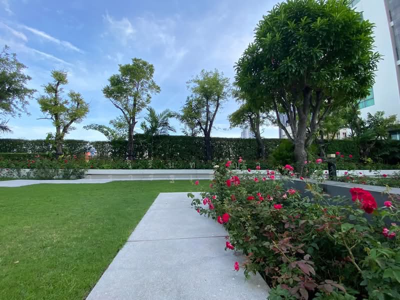 The Room Sukhumvit 62, Bangkok, 2288 Sukhumvit Road, Bang Chak, Phra Khanong, Bangkok, 1 Bedroom, 45 sqm, Condo For Rent, by Virin W., 500178337 - DDproperty.com