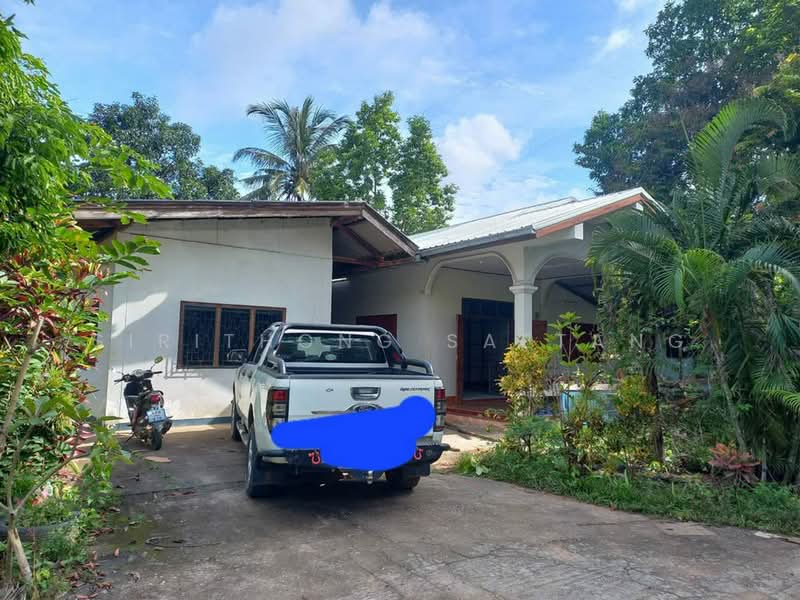 ขายที่ดินสิ่งปลูกสร้าง 13-3-22 ไร่ สวนมะม่วงน้ำดอกไม้ ตำบลพระธาตุผาแดง อำเภอแม่สอด จังหวัดตาก, ตาก, 1090, พระธาตุผาแดง, แม่สอด, ตาก, 22,088 ตร.ม., ที่ดิน ขาย, โดย Sirithong Saetang, 500178339 - DDproperty.com