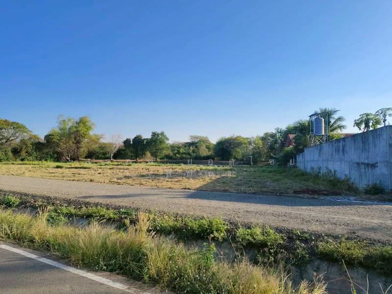 ขาย - ขายที่ดินเปล่า ถมแล้ว เนื้อที่ 9 ไร่ 84 ตารางวา ใกล้สนามช้างอารีน่า ตำบลอิสาณ อำเภอเมืองบุรีรัมย์, บุรีรัมย์