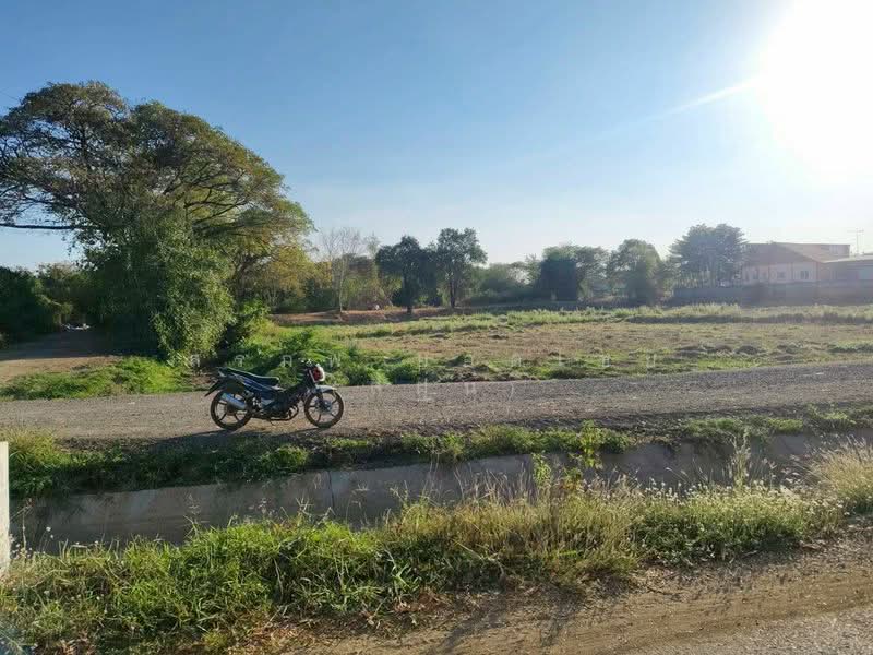 ขาย - ขายที่ดินเปล่า ถมแล้ว เนื้อที่ 9 ไร่ 84 ตารางวา ใกล้สนามช้างอารีน่า ตำบลอิสาณ อำเภอเมืองบุรีรัมย์, บุรีรัมย์