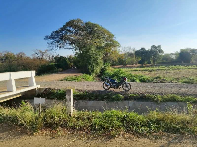 ขาย - ขายที่ดินเปล่า ถมแล้ว เนื้อที่ 9 ไร่ 84 ตารางวา ใกล้สนามช้างอารีน่า ตำบลอิสาณ อำเภอเมืองบุรีรัมย์, บุรีรัมย์