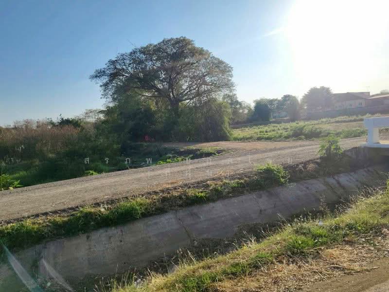 ขาย - ขายที่ดินเปล่า ถมแล้ว เนื้อที่ 9 ไร่ 84 ตารางวา ใกล้สนามช้างอารีน่า ตำบลอิสาณ อำเภอเมืองบุรีรัมย์, บุรีรัมย์