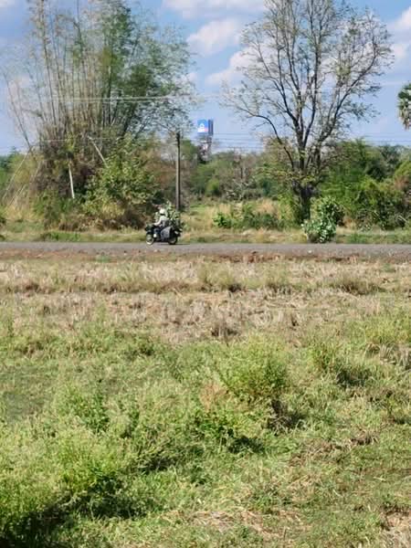 ขายที่ดินเปล่า ถมแล้ว เนื้อที่ 9 ไร่ 84 ตารางวา ใกล้สนามช้างอารีน่า ตำบลอิสาณ อำเภอเมืองบุรีรัมย์, Buri Ram, E-san, Muang Buri Ram, Buri Ram, , 14,736 sqm, Land For Sale, by สรภพ ยอดไชย (สีฝุ่น), 500178349 - DDproperty.com