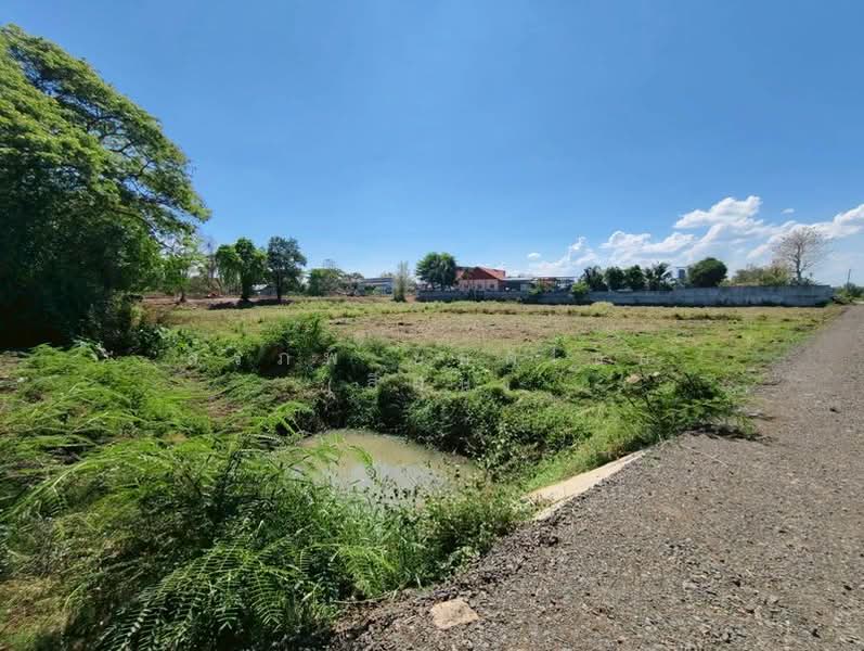 ขาย - ขายที่ดินเปล่า ถมแล้ว เนื้อที่ 9 ไร่ 84 ตารางวา ใกล้สนามช้างอารีน่า ตำบลอิสาณ อำเภอเมืองบุรีรัมย์, บุรีรัมย์