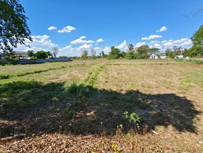 ขายที่ดินเปล่า ถมแล้ว เนื้อที่ 9 ไร่ 84 ตารางวา ใกล้สนามช้างอารีน่า ตำบลอิสาณ อำเภอเมืองบุรีรัมย์, Buri Ram, E-san, Muang Buri Ram, Buri Ram, , 14,736 sqm, Land For Sale, by สรภพ ยอดไชย (สีฝุ่น), 500178349 - DDproperty.com