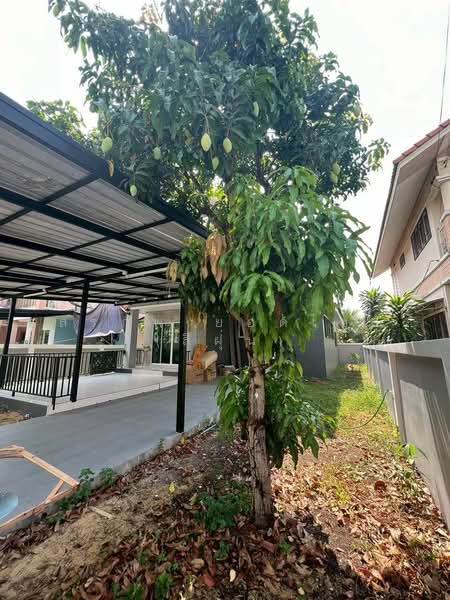 Vista Ville 3 ลำลูกกา-คลอง8, ปทุมธานี, ลำลูกกา, ลำลูกกา, ปทุมธานี, 276 ตร.ม., บ้านเดี่ยว ขาย, โดย สรภพ ยอดไชย (สีฝุ่น), 500178454 - DDproperty.com