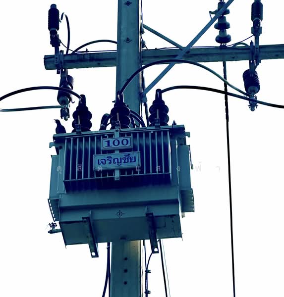 ให้เช่าโกดัง/คลังสินค้า ผังม่วง 3000 ตรม.พร้อมออฟฟิต หนองขาม ศรีราชา, Chon Buri (Pattaya), Nong - Kham, Si Racha, Chon Buri (Pattaya), , 3,000 sqm, Warehouse/Factory For Rent, by Dusit Saengfa, 500178463 - DDproperty.com