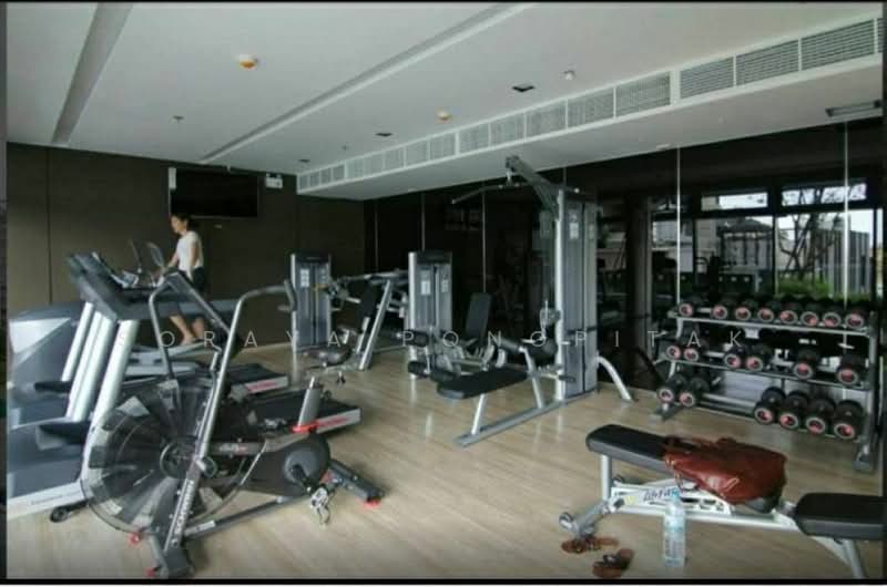 Whizdom Connect Sukhumvit, Bangkok, 1 Soi Piyibut 1, Sukhumvit Road, Bang Na, Bang Na, Bangkok, 1 Bedroom, 30 sqm, Condo For Rent, by Soraya Pongpitak, 500178653 - DDproperty.com