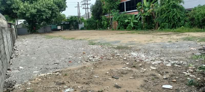 ขายที่ดินเปล่า แปลงสวย ทำเลศักยภาพสูง สุขุมวิท 62 แยก 5 ใกล้คลองเจ๊ก, กรุงเทพ, สุขุมวิท 62, บางจาก, พระโขนง, กรุงเทพ, 892 ตร.ม., ที่ดิน ขาย, โดย สุดาวดี อินต๊ะอ้าย, 500178685 - DDproperty.com