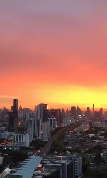 Plum Condo Ramkhamheng Station, Bangkok, Ramkhamhaeng Road, Suan Luang, Suan Luang, Bangkok, 1 Bedroom, 27 sqm, Condo For Rent, by Jarunat K, 500178785 - DDproperty.com