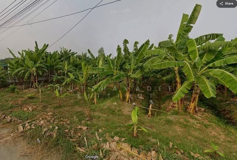 Vacant land, already filled., Bangkok, นวมินทร์81, Nawamin, Bueng Kum, Bangkok, , 1,588 sqm, Land For Sale, by Nutthavadee Kittihut, 500178792 - DDproperty.com