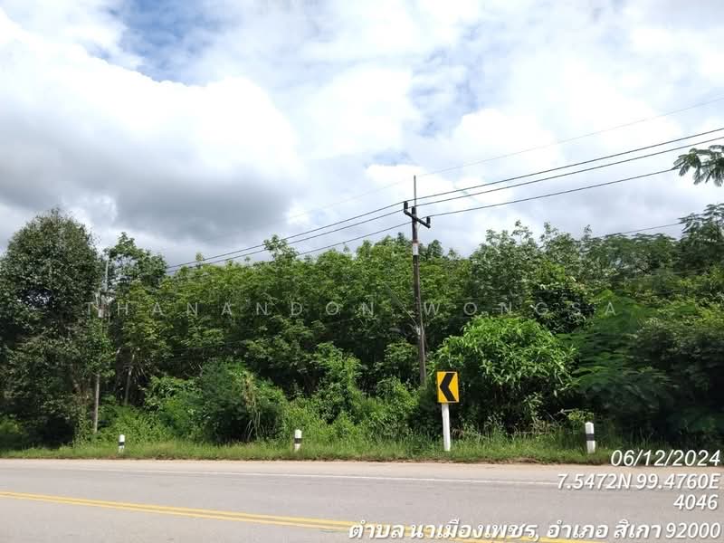 ที่ดินแเปล่า นาเมืองเพชร สิเกา จังหวัด ตรัง, Pattani, TRANG, Mayo, Pattani, , 12,184 sqm, Land For Sale, by Thanandon Wongsa, 500178867 - DDproperty.com
