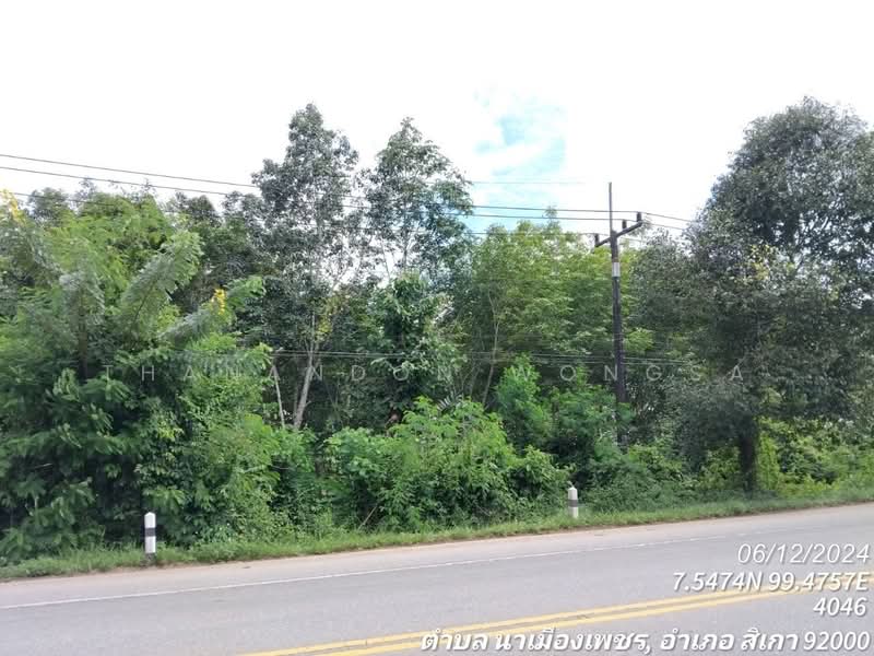 ขาย - ที่ดินแเปล่า นาเมืองเพชร สิเกา จังหวัด ตรัง, ปัตตานี