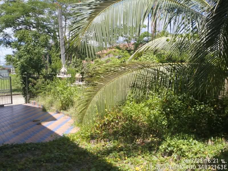 ขาย - บ้านเดี่ยว ถนน ถ.พุทธมณฑลสาย 3 ศาลาธรรมสพน์ ทวีวัฒนา จังหวัด กรุงเทพมหานคร, ชัยนาท