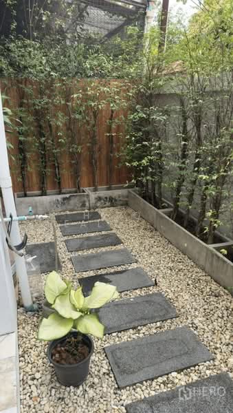 For rent 3 Bedroom Townhouse in Khlong Tan Nuea, Watthana, Bangkok BTS Thonglor hre00363, Bangkok, Khlong Tan Nua, Watthana, Bangkok, 3 Bedrooms, 250 sqm, Townhouse For Rent, by Hero Realtor Co., Ltd., 500178897 - DDproperty.com