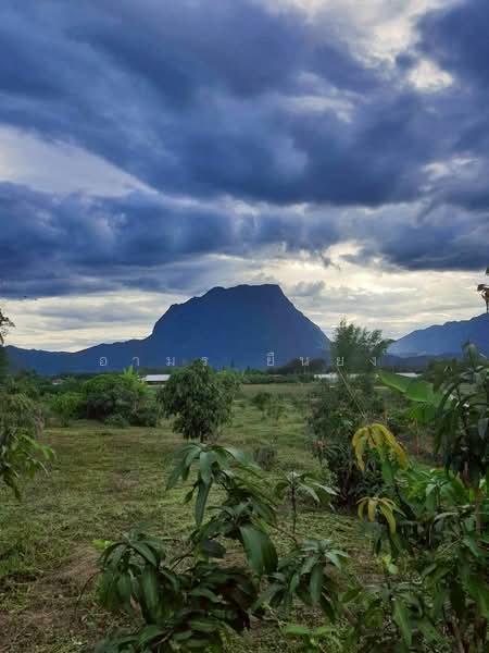 ขาย - ขาย ที่ดินวิวดอย โซนเชียงดาว, เชียงใหม่