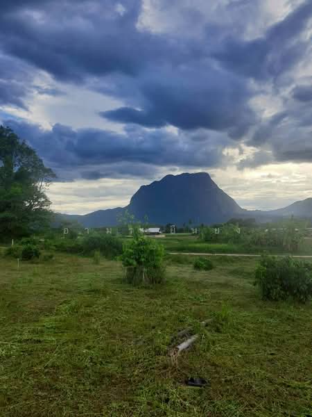 ขาย - ขาย ที่ดินวิวดอย โซนเชียงดาว, เชียงใหม่