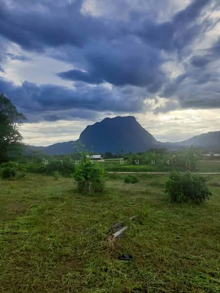 ขาย - ขาย ที่ดินวิวดอย โซนเชียงดาว, เชียงใหม่