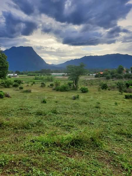 ขาย ที่ดินวิวดอย โซนเชียงดาว, Chiang Mai, Chiang Dao, Chiang Dao, Chiang Mai, , 1,600 sqm, Land For Sale, by Armon Yuenyong, 500178919 - DDproperty.com