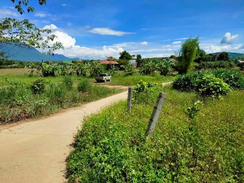 ขาย - ขาย ที่ดินวิวดอย โซนเชียงดาว, เชียงใหม่