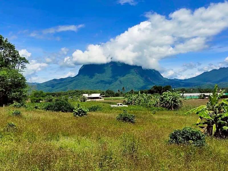 ขาย ที่ดินวิวดอย โซนเชียงดาว, Chiang Mai, Chiang Dao, Chiang Dao, Chiang Mai, , 1,600 sqm, Land For Sale, by Armon Yuenyong, 500178919 - DDproperty.com