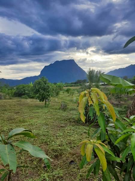 ขาย ที่ดินวิวดอย โซนเชียงดาว, Chiang Mai, Chiang Dao, Chiang Dao, Chiang Mai, , 1,600 sqm, Land For Sale, by Armon Yuenyong, 500178919 - DDproperty.com