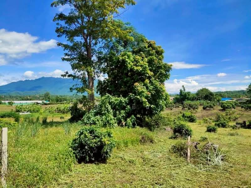 ขาย ที่ดินวิวดอย โซนเชียงดาว, Chiang Mai, Chiang Dao, Chiang Dao, Chiang Mai, , 1,600 sqm, Land For Sale, by Armon Yuenyong, 500178919 - DDproperty.com