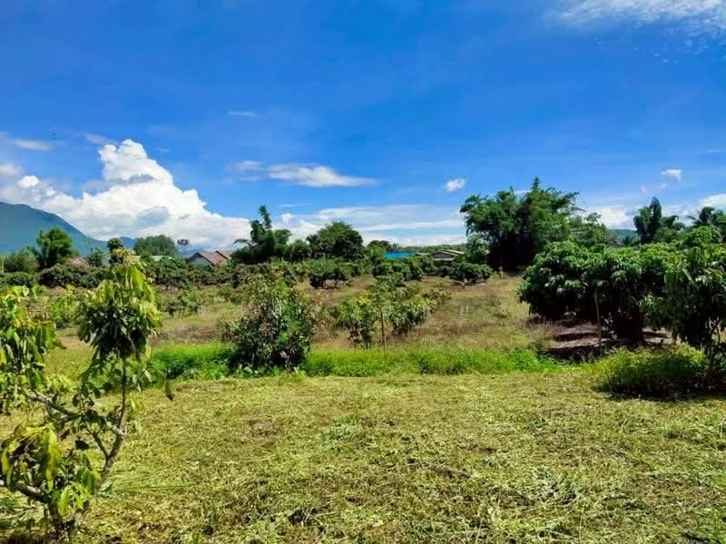 ขาย - ขาย ที่ดินวิวดอย โซนเชียงดาว, เชียงใหม่