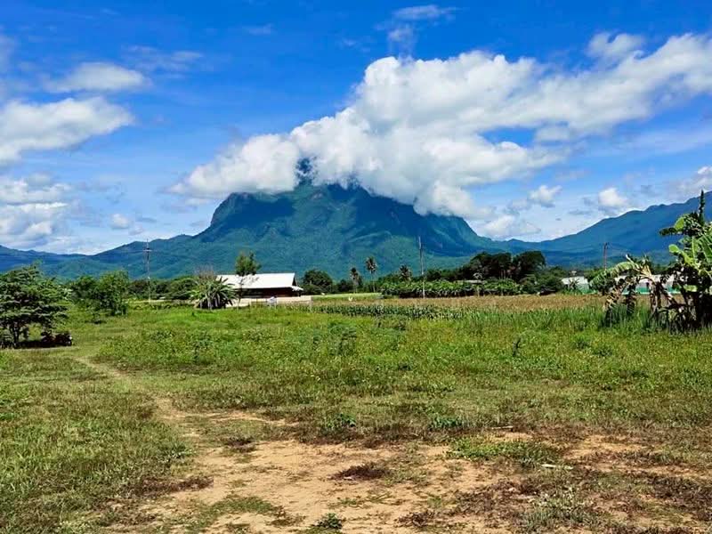 ขาย ที่ดินวิวดอย โซนเชียงดาว, Chiang Mai, Chiang Dao, Chiang Dao, Chiang Mai, , 1,600 sqm, Land For Sale, by Armon Yuenyong, 500178919 - DDproperty.com