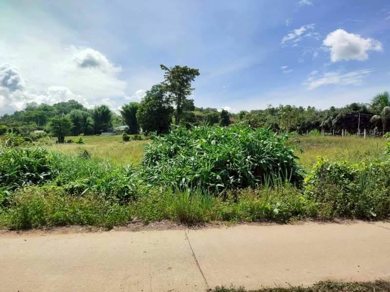 ขาย ที่ดินวิวดอย โซนเชียงดาว, Chiang Mai, Chiang Dao, Chiang Dao, Chiang Mai, , 1,600 sqm, Land For Sale, by Armon Yuenyong, 500178919 - DDproperty.com