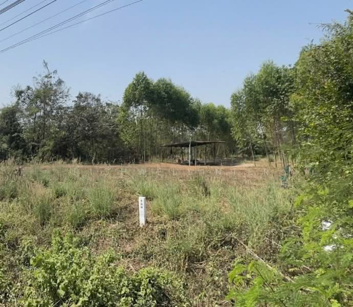 ขายที่ดินบ้านซ่องถมแล้ว 1 ไร่ ติดถนน6เลนเส้น319 ใกล้แยกพนมสารคาม-10กม. อ.พนมสารคาม, ฉะเชิงเทรา, บ้านซ่อง, พนมสารคาม, ฉะเชิงเทรา, 1,600 ตร.ม., ที่ดิน ขาย, โดย richwellinter, 500178941 - DDproperty.com