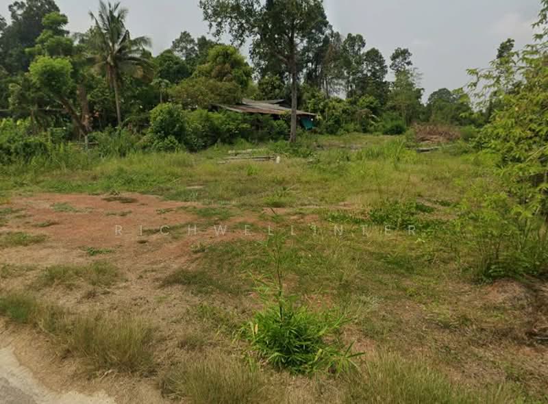 ขายที่ดินท่าถ่าน 2 ไร่ ติดถนนลาดยาง ใกล้ถนนเส้น319-1.1กม. อ.พนมสารคาม, ฉะเชิงเทรา, ท่าถ่าน, พนมสารคาม, ฉะเชิงเทรา, 4,540 ตร.ม., ที่ดิน ขาย, โดย richwellinter, 500178996 - DDproperty.com