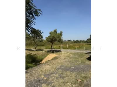ขาย - ขายที่ดินในตัวเมืองบางคล้าเนื้อที่ 4 ไร่ ติดถนน2ด้านซอยซ.ราษฎรอุทิศ หลังการประปา อ.บางคล้า, ฉะเชิงเทรา
