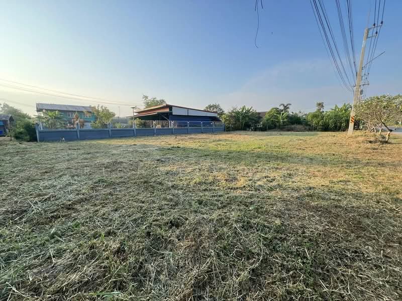 ขายที่ดินสนามจันทร์ 190 ตรว. ถมแล้วติดถนน2ด้าน ซอยร.รวัดกระทุ่มใกล้ถ.3315-600เมตร อ.บ้านโพธิ์, ฉะเชิงเทรา, สนามจันทร์, บ้านโพธิ์, ฉะเชิงเทรา, 760 ตร.ม., ที่ดิน ขาย, โดย richwellinter, 500179036 - DDproperty.com