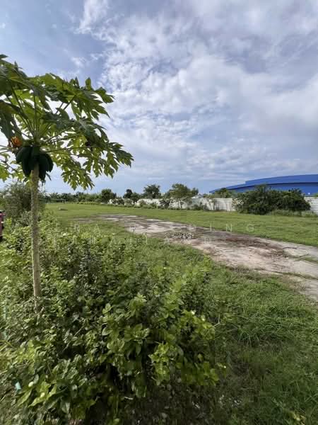 ผังสีม่วง ถมแล้ว ติดถนน, Samut Prakan, Khlong Niyomyatra, Bang Bo, Samut Prakan, , 4,032 sqm, Land For Sale, by ERA Holding (Thailand) Co., Ltd., 500179136 - DDproperty.com