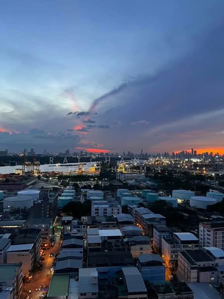 Modiz Sukhumvit 50, Bangkok, Soi Sukhumvit 50, Phra Kanong, Khlong Toei, Bangkok, 1 Bedroom, 42 sqm, Condo For Rent, by Ratchanon Songthammakul, 500179155 - DDproperty.com