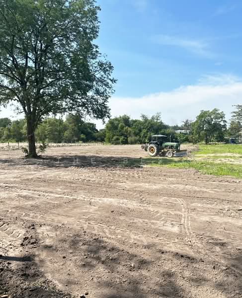 For Sale - ที่ดินบ้านบึง ชลบุรี, Chon Buri (Pattaya)