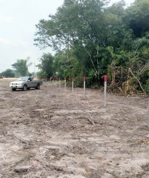 For Sale - ที่ดินบ้านบึง ชลบุรี, Chon Buri (Pattaya)