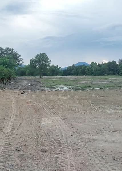 For Sale - ที่ดินบ้านบึง ชลบุรี, Chon Buri (Pattaya)