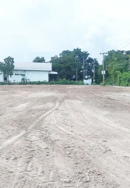 For Sale - ที่ดินบ้านบึง ชลบุรี, Chon Buri (Pattaya)