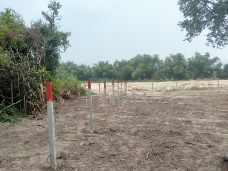 For Sale - ที่ดินบ้านบึง ชลบุรี, Chon Buri (Pattaya)