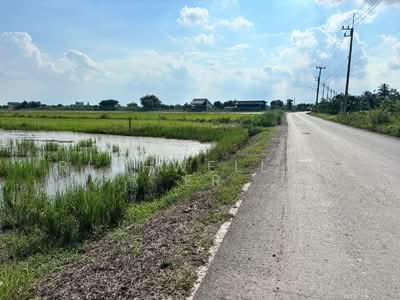 ขาย - ขายที่ดินดอนเกาะกา 2 ไร่ คลอง21 ติดถนนลาดยางใกล้ถนน5006-1.2กม. อ.บางน้ำเปรี้ยว, ฉะเชิงเทรา