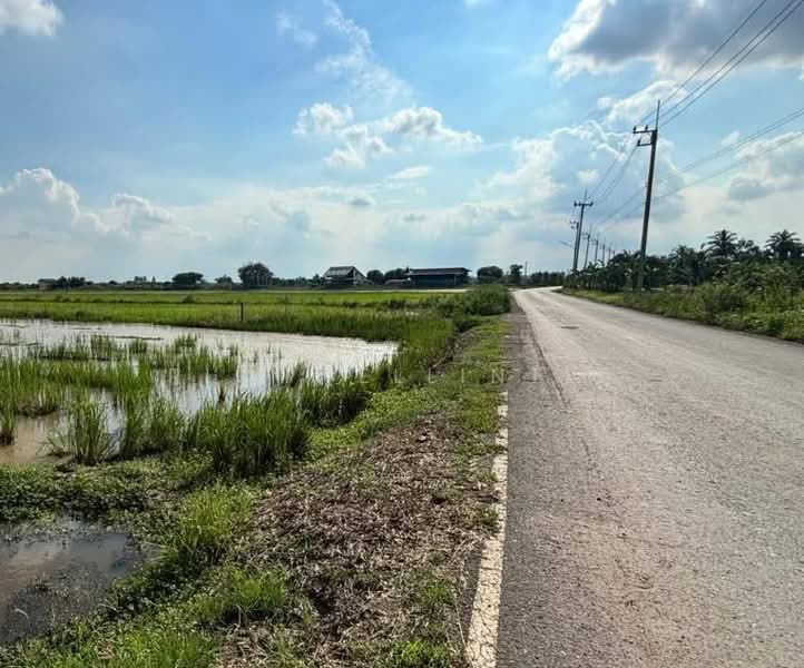 ขายที่ดินดอนเกาะกา 2 ไร่ คลอง21 ติดถนนลาดยางใกล้ถนน5006-1.2กม. อ.บางน้ำเปรี้ยว, ฉะเชิงเทรา, ดอนเกาะกา, บางน้ำเปรี้ยว, ฉะเชิงเทรา, 3,616 ตร.ม., ที่ดิน ขาย, โดย richwellinter, 500179267 - DDproperty.com