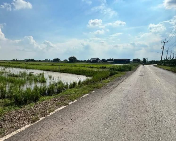 ขายที่ดินดอนเกาะกา 2 ไร่ คลอง21 ติดถนนลาดยางใกล้ถนน5006-1.2กม. อ.บางน้ำเปรี้ยว, ฉะเชิงเทรา, ดอนเกาะกา, บางน้ำเปรี้ยว, ฉะเชิงเทรา, 3,616 ตร.ม., ที่ดิน ขาย, โดย richwellinter, 500179267 - DDproperty.com