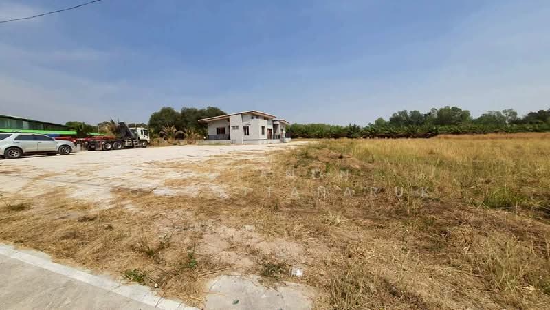 ขายที่ดินพร้อมสิ่งปลูกสร้าง 5 ไร่ 3 งาน 81 ตารางวา ชลบุรี อำเภอบ้านบึง , แยก M16 ทำเลทอง, Chon Buri (Pattaya), Ban Bung, Ban Bung, Chon Buri (Pattaya), , 9,524 sqm, Land For Sale, by Jutanon Komoottanaruk, 500179293 - DDproperty.com