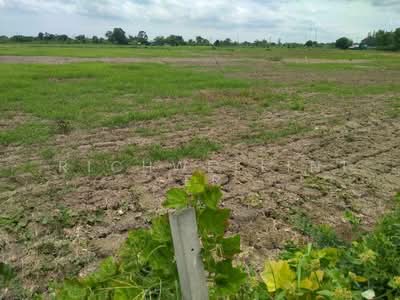 ขาย - ขายที่ดินบางเตย 2 ไร่ ใกล้ถนนเส้นตัดใหม่วงแหวน304-7กม. อ.เมืองฉะเชิงเทรา, ฉะเชิงเทรา