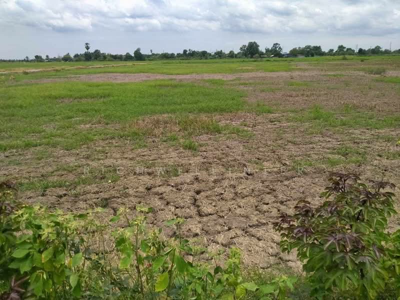 Land for sale in Bang Toei, 2 rai, near the new 304 ring road (7 km), Mueang Chachoengsao District., Chachoengsao, Bang Toei, Muang Chachoengsao, Chachoengsao, , 4,640 sqm, Land For Sale, by richwellinter, 500179301 - DDproperty.com